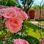 Ciborovi Dvori Villa Bribir (Primorje-Gorski Kotar)