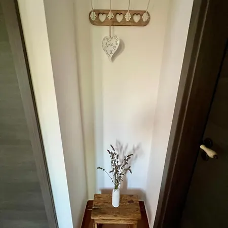 Ciborovi Dvori * Bribir (Primorje-Gorski Kotar)