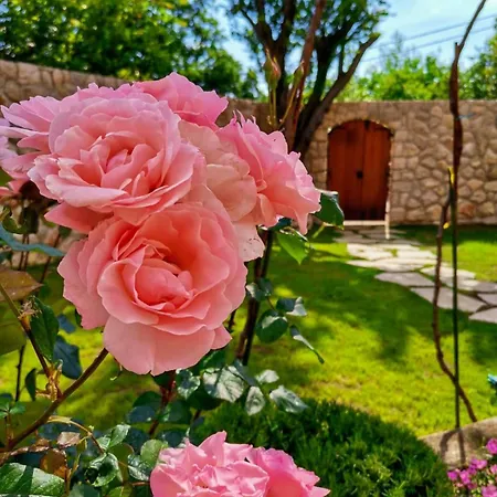 Ciborovi Dvori Vila Bribir (Primorje-Gorski Kotar)