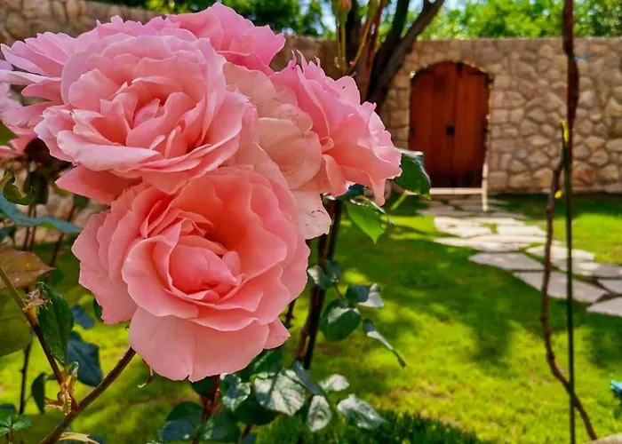 Ciborovi Dvori Villa Bribir (Primorje-Gorski Kotar)